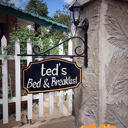 Santa Cruz  Ted'S Bed And Breakfast מראה חיצוני תמונה