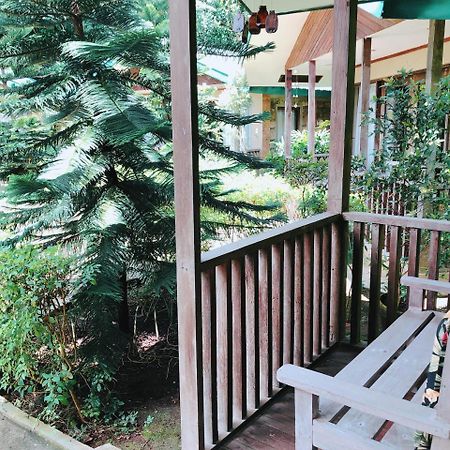 Santa Cruz  Ted'S Bed And Breakfast מראה חיצוני תמונה